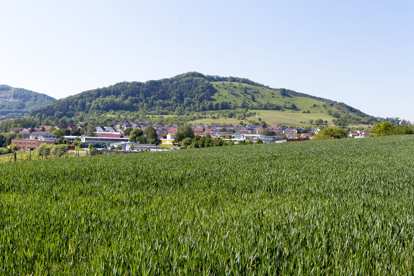 Wanderung auf dem Eduard-Mörike-Weg