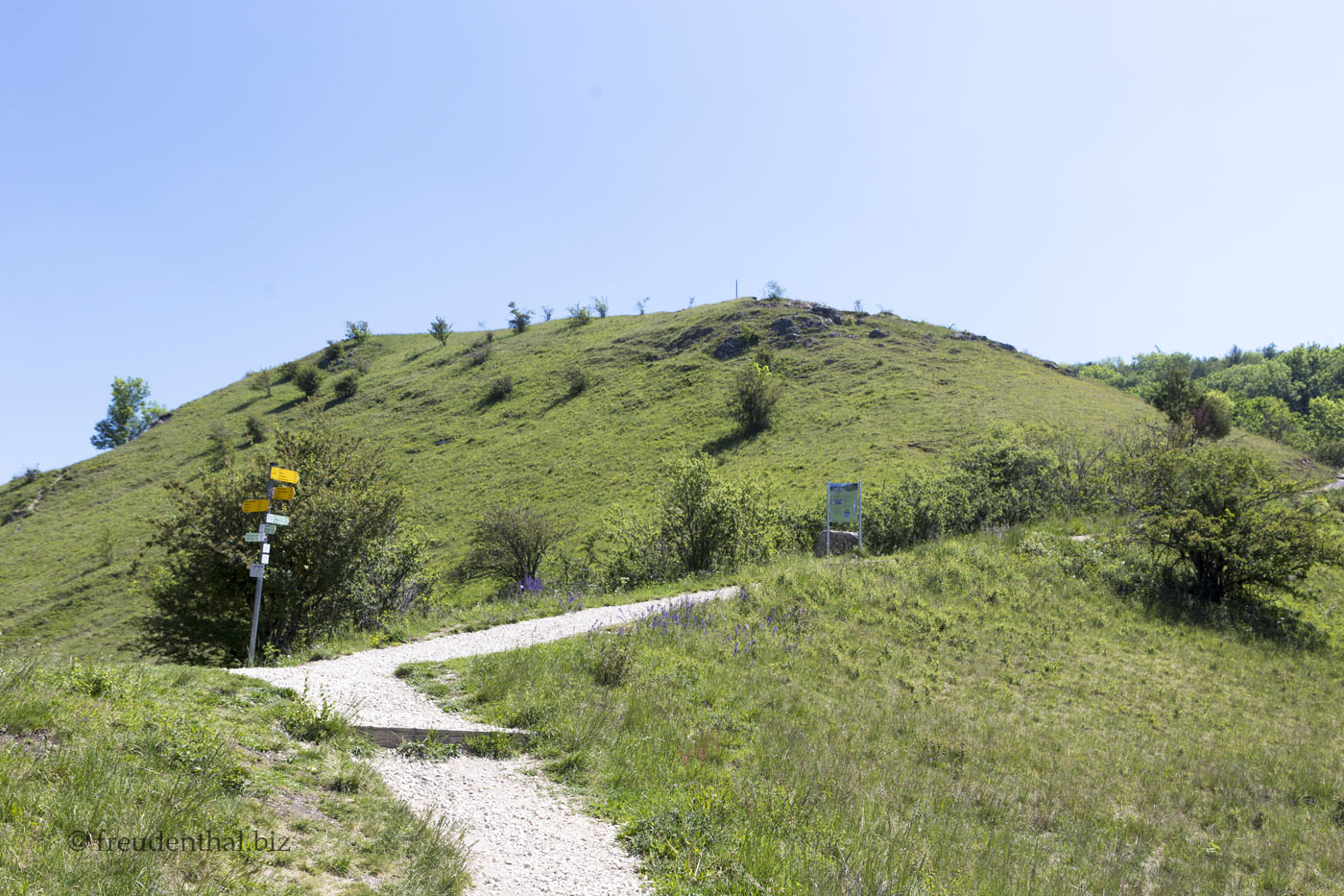 Wanderweg auf den Jusiberg