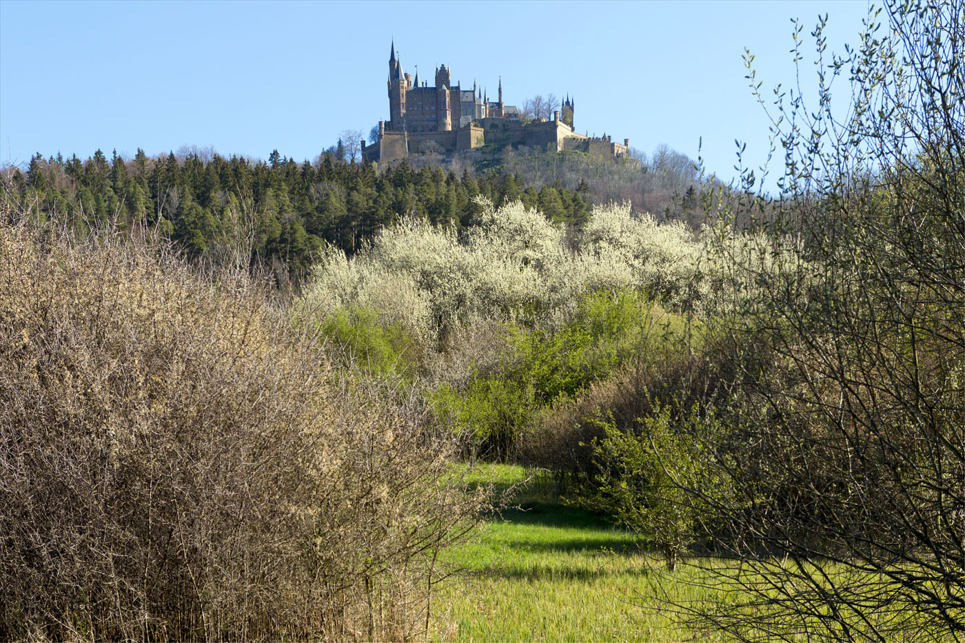 Burg Hohenzollern bei Zimmern