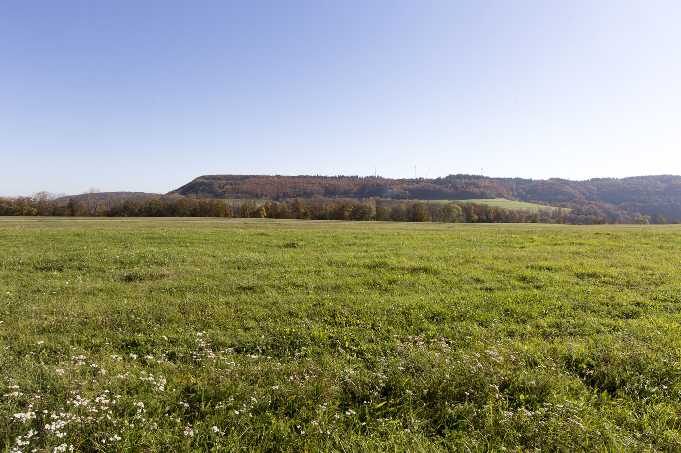 Flugplatz Kaltes Feld bei Degenfeld