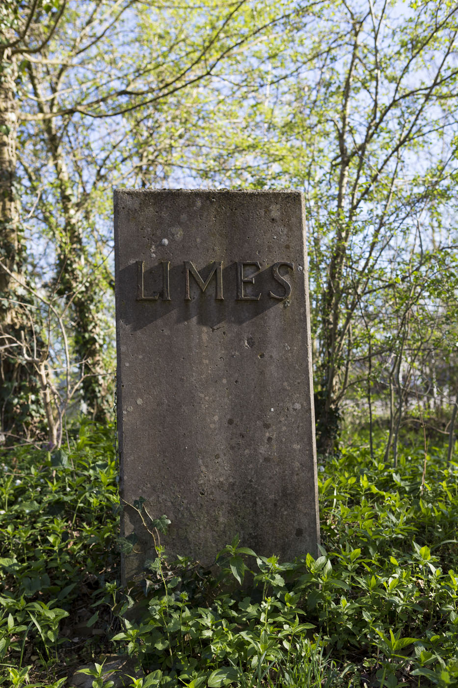 Gedenkstein Rätischer Limes