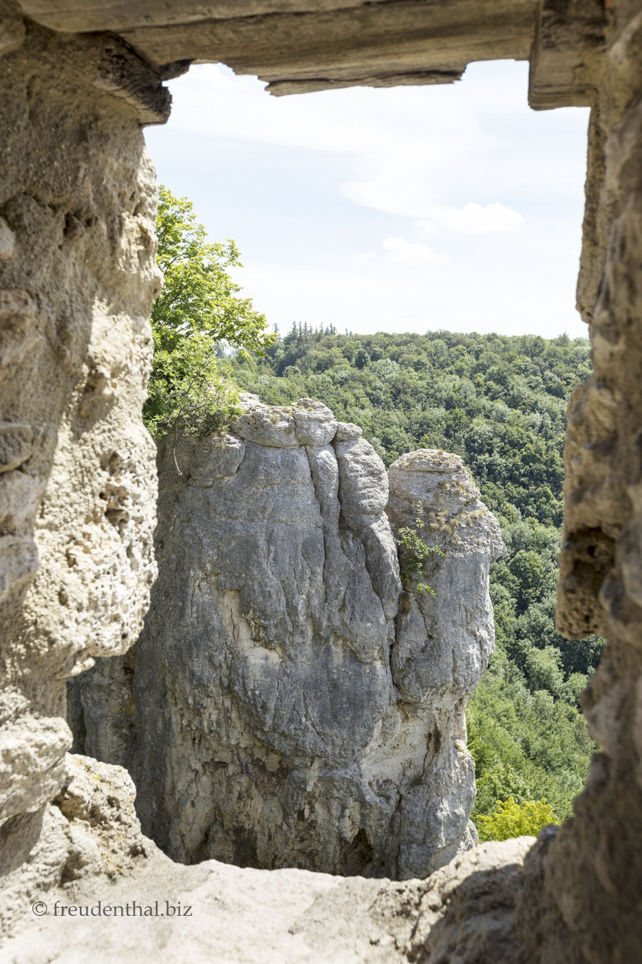 Ausblick aus der Burgruine