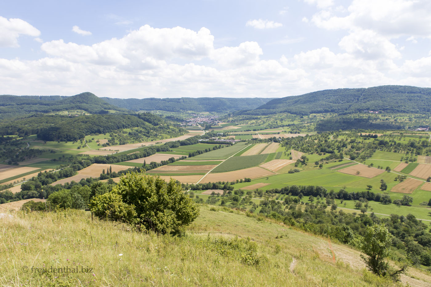 Aussicht von der Weinsteige