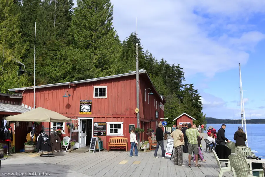 Stubbs Island Whale Watching in Telegraph Cove