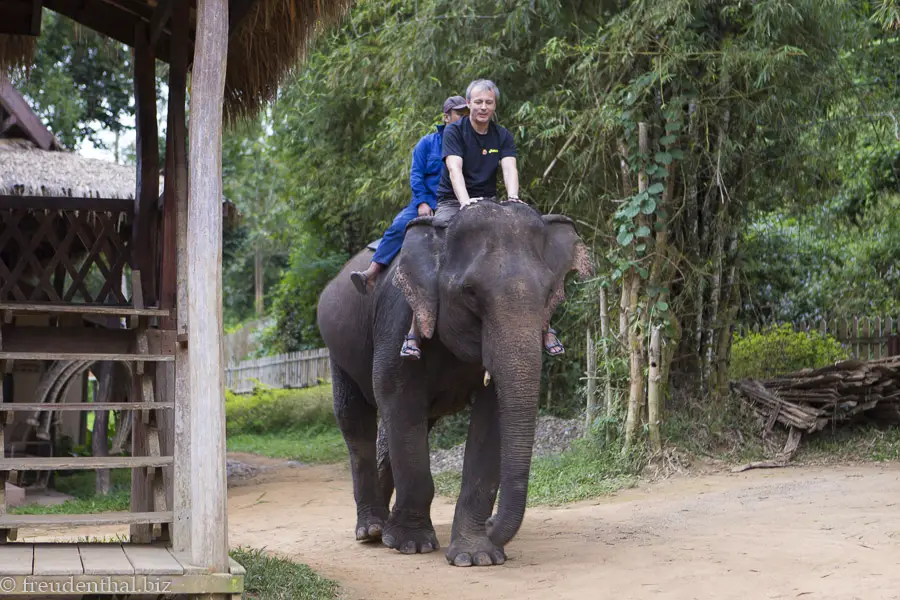 Lars beim Mahout-Training auf dem Elefant