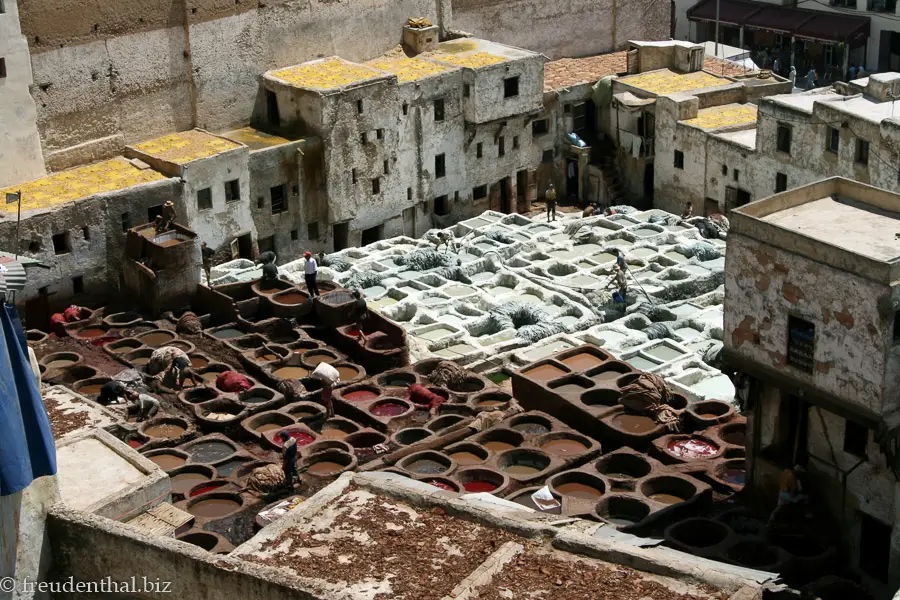 Gerber Suq Chaouwara Tanneries bei Fès