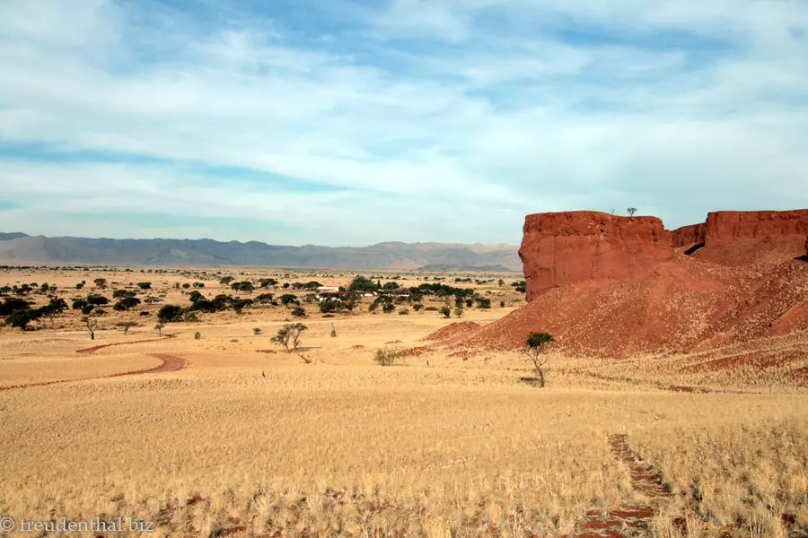 Savannen-Landschaft der Namib