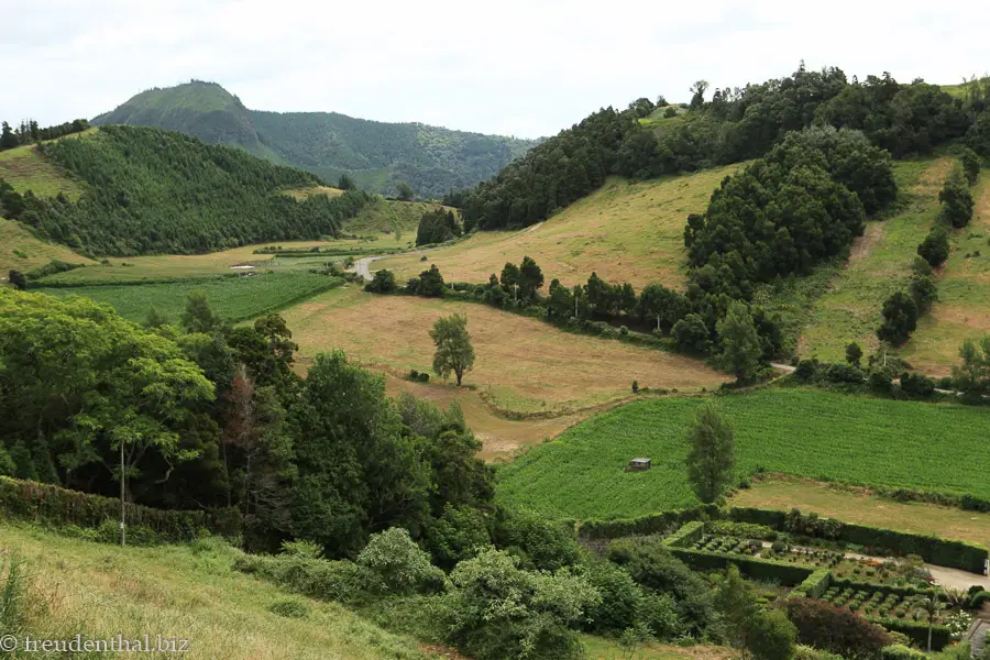 Landschaft bei Furnas auf Sao Miguel