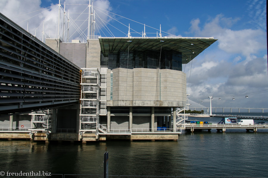 das Oceanário de Lisboa