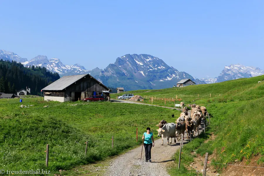 Wanderung ab dem Pragelpass