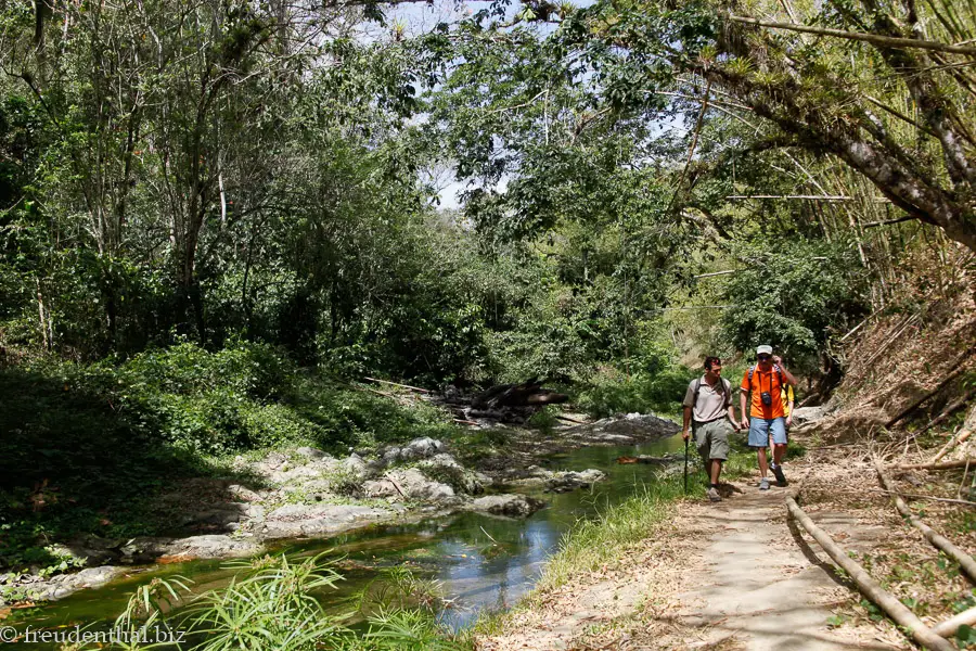 Spaziergang am Courland River zum Wasserfall