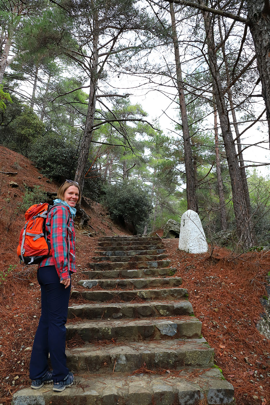 Treppe Kaledonia Trail