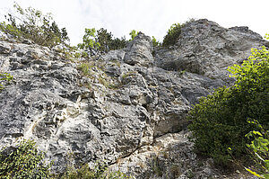 Steilwand vom Blaufelsen