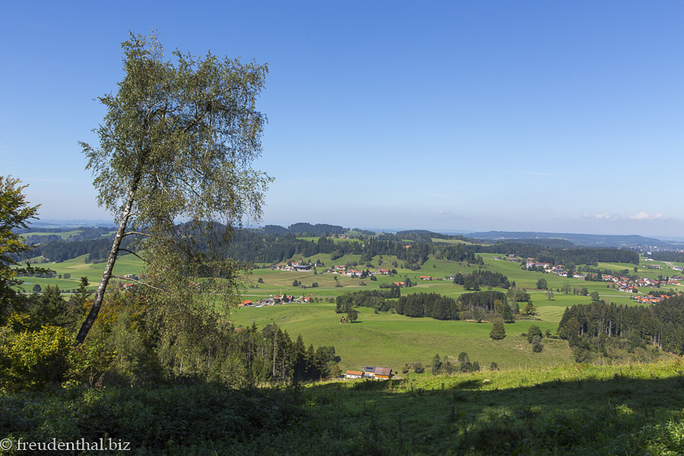 Aussicht über das Westallgäu