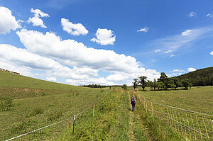 Wanderweg über die Bronner Wiese