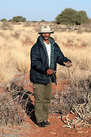 Vortrag auf Sprache der San beim Game Drive in die Kalahari