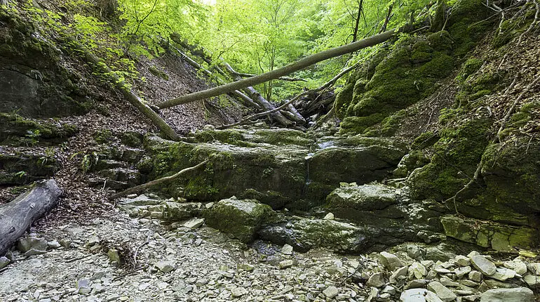 Wolfsschlucht bei Bad Urach