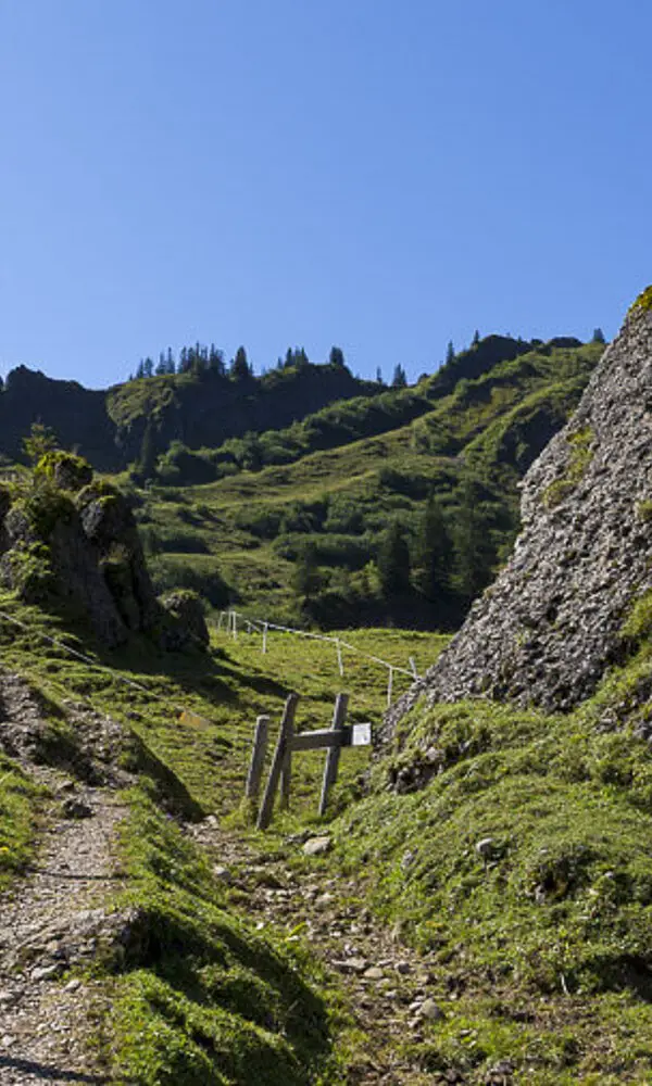 Wanderung auf den Siplinger Kopf