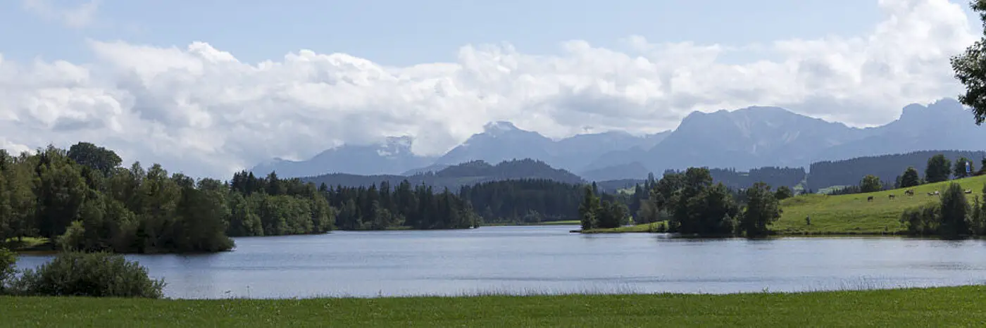 Wanderung zum Schwaltenweiher