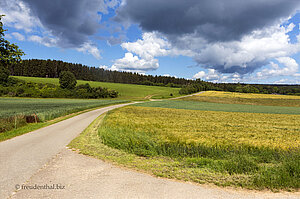 Wanderweg beim Feldherrenhügel