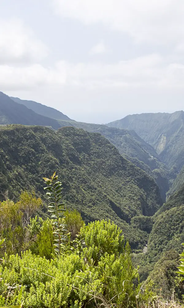 Blick von der Aussichtskanzel zur Cassé de Takamaka