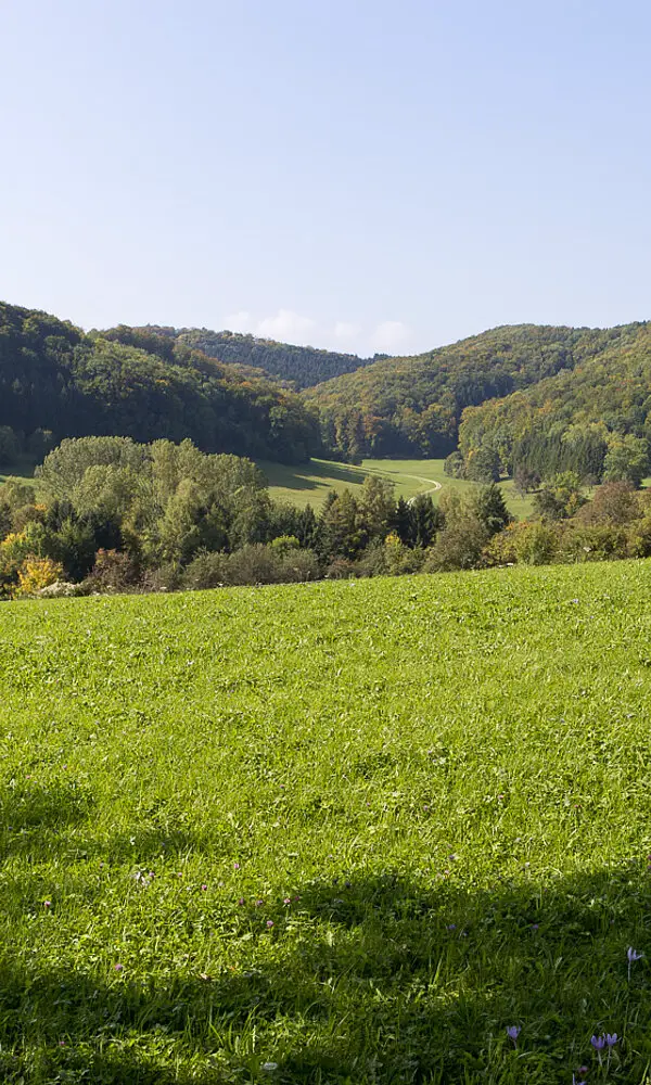 Wanderung auf dem Boßler-Steig