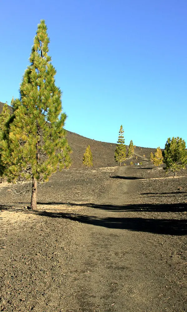 Mirador Samara beim Teide