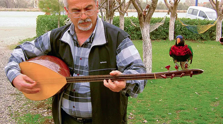 Gitarrist mit Papagei in der Westtürkei