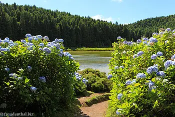 Spazierweg an den Lagoa Canario