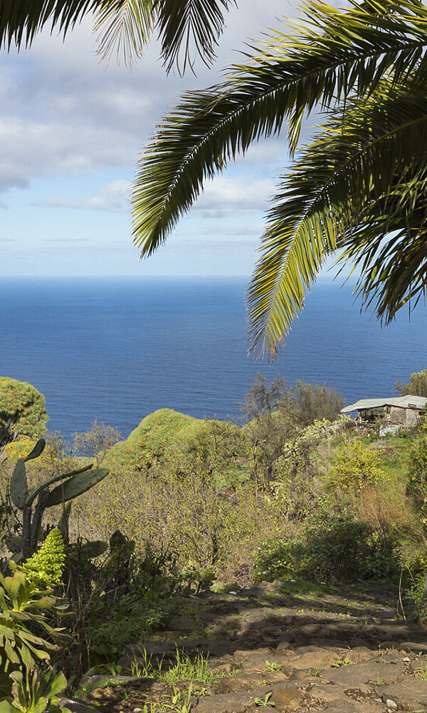 La Palma | Wanderungen auf der Isla Bonita