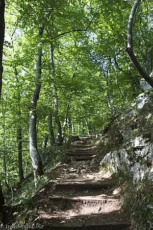 Im Wald unterwegs - Wasserfallsteig Bad Urach