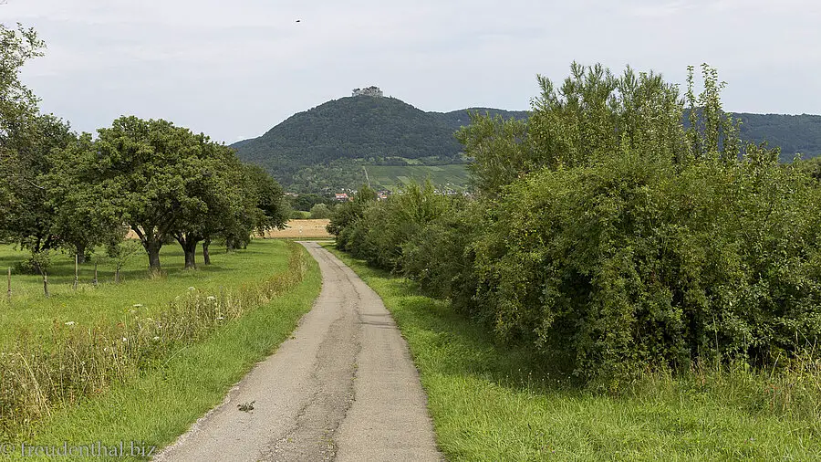 Blick auf die Burg Hohenneuffen - Wanderung Jusi