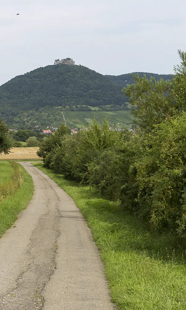 Blick auf die Burg Hohenneuffen - Wanderung Jusi