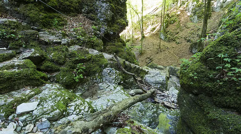 Mitten in der Wolfsschlucht