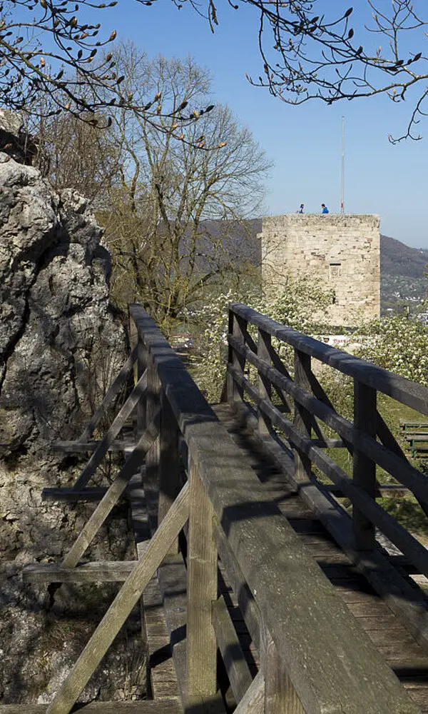 Wanderung zur Burg Helfenstein