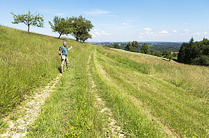 Wanderung auf der Staufer-Runde