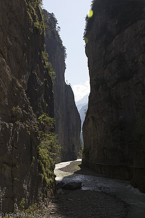 Die Aareschlucht ist schattig und 5 Grad kälter als das Umland