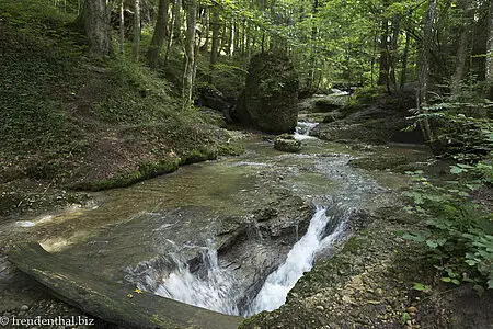 Der Rickenbach bildet die Scheidegger Wasserfälle