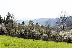 Landschaft zwischen Lorch und Schwäbisch Gmünd