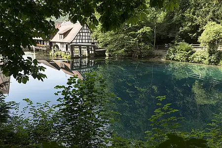 Blick über den Blautopf