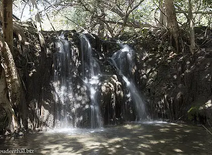 Wasserfall bei Ayn Tabrook