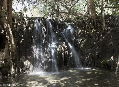 Wasserfall bei Ayn Tabrook