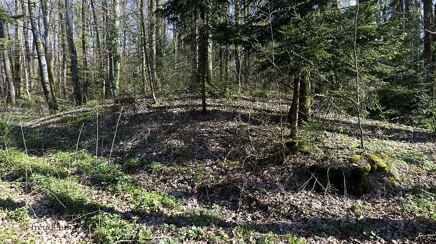 Keltische Gräber im Grubenholz