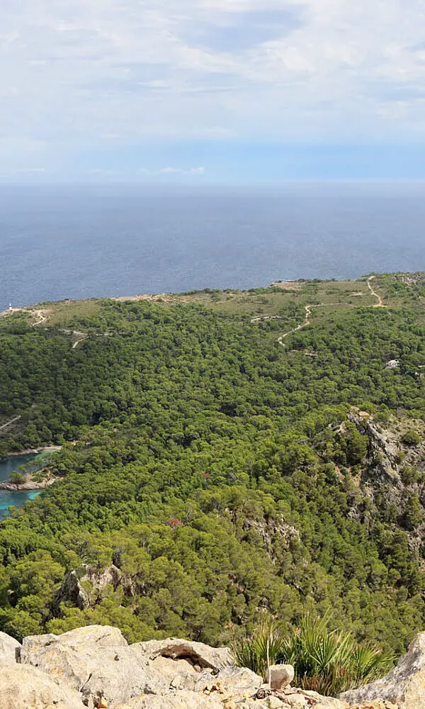 Aussicht vom Penya des Migdia