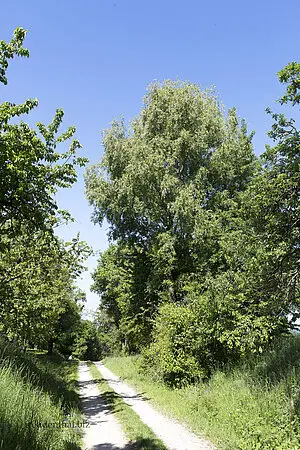 Wanderung Eduard-Mörike-Weg