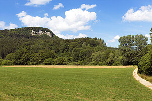 Wanderweg im Brunnental