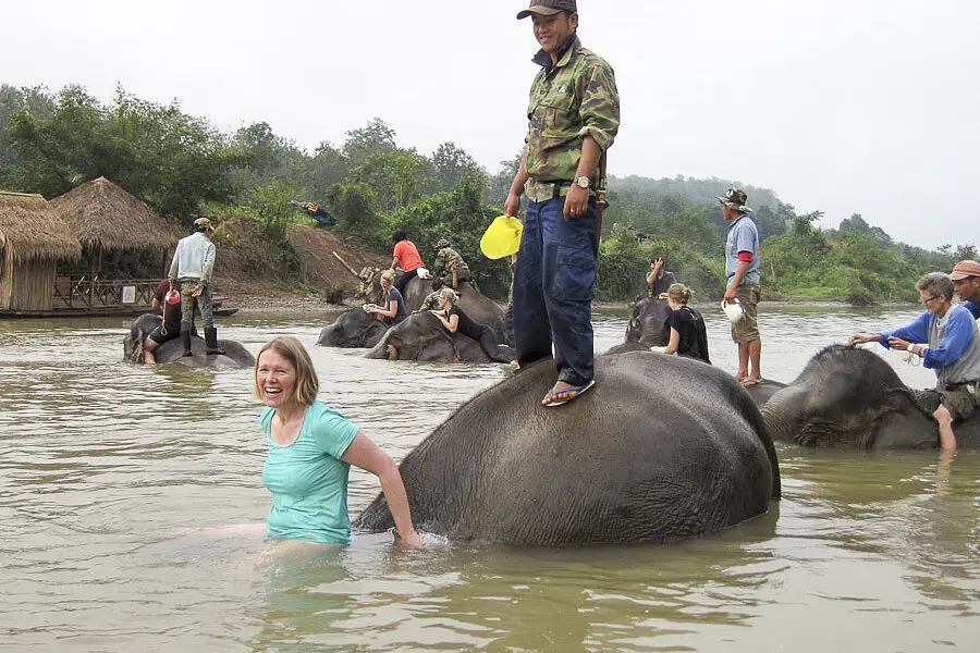 Annettes Elefant taucht ab.