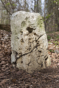 Grenzstein am Schlossfelsenpfad bei Ebingen 