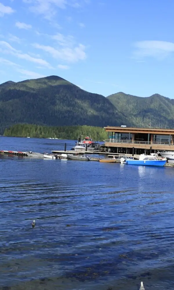 Hafen bei Tofino