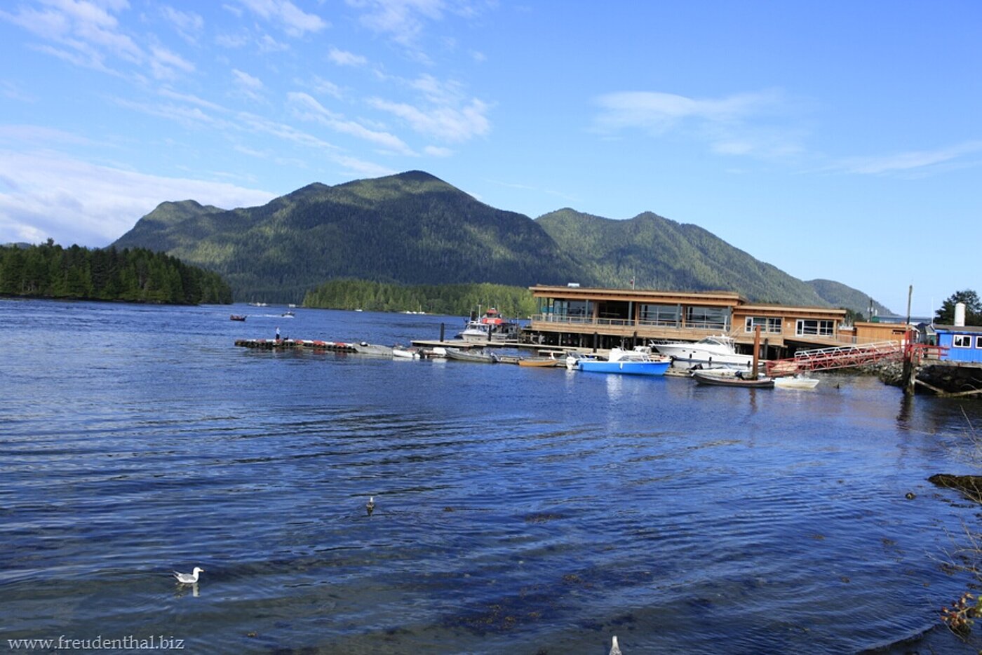 Hafen bei Tofino